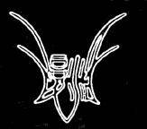 logo Resurrection (CHN)